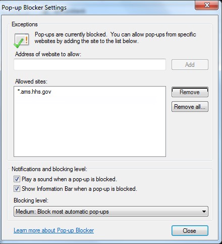 IE Pop-up Blocker settings