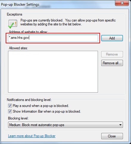 IE Pop-up Blocker settings - Address of website to allow