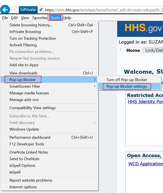 IE Pop-up Blocker settings