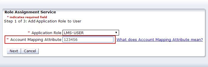 Add Account Mapping Attribute field highlighted