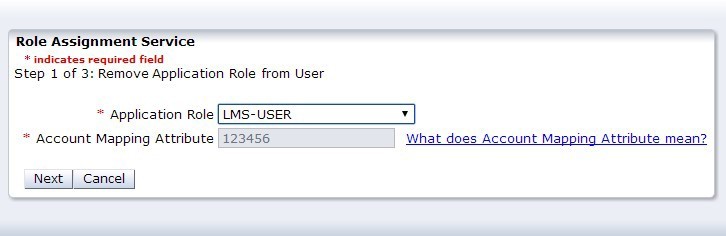 Application Role select with account mapping attribute visible