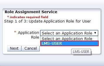 Update Application Role selection