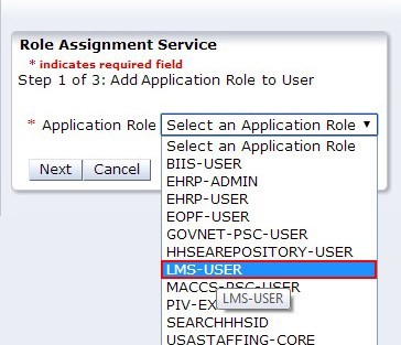 Add Application Role selection